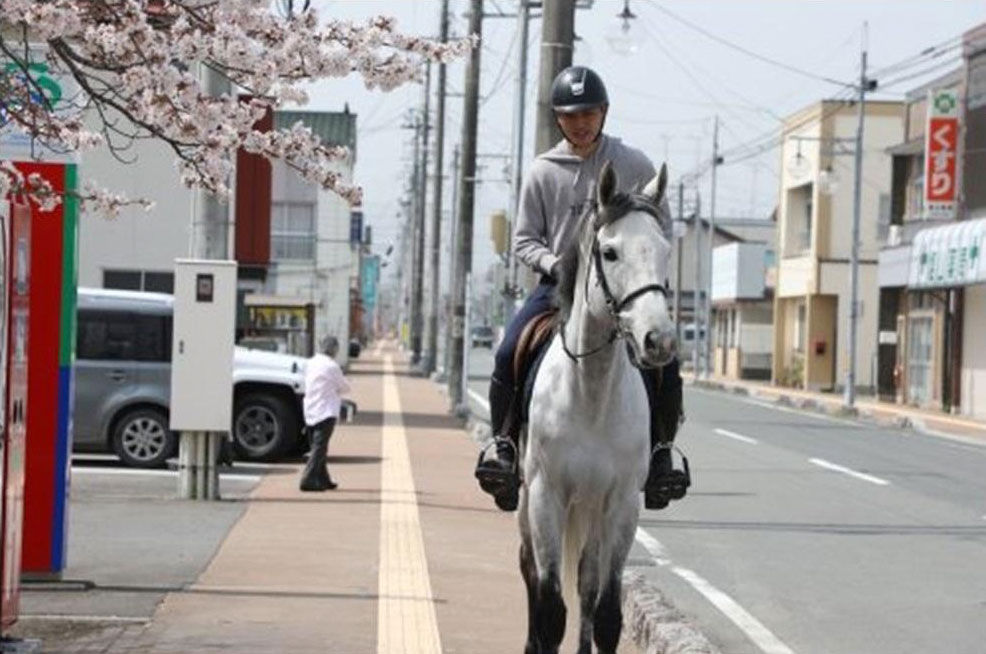 Horse riding