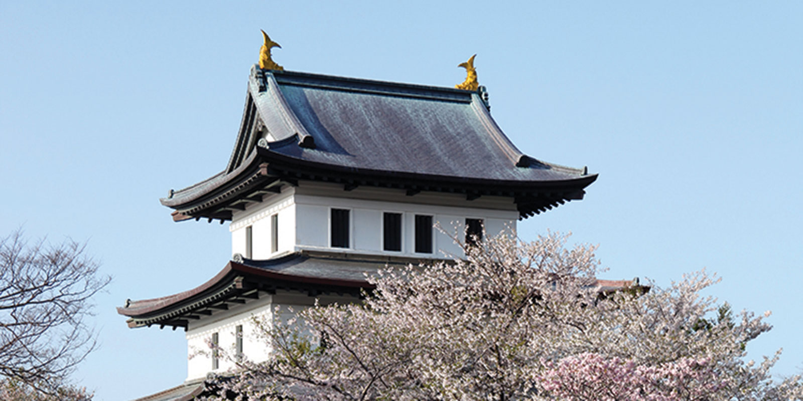 Matsumae castle | The Hokkaido Matsumae Tourism and Products Association